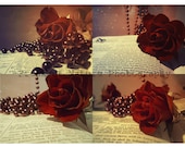 Fine Art Photographs Red Rose Book Bokeh Sparkle Velvet Romantic - Set of 4 - 4in x 6in