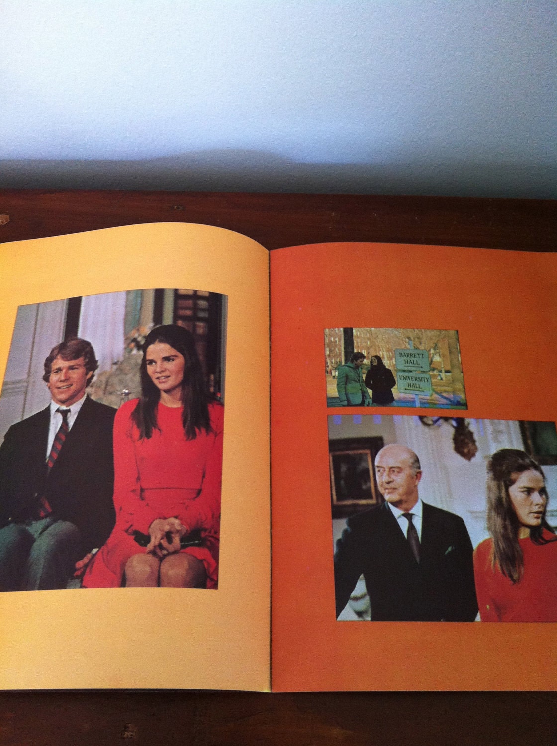 Love Story Movie - Illustrated Souvenir Book