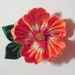 Tropical Orange Hibiscus Flower