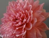 Pink Dahlia Portrait: 8x10 Fine Art Photography Print