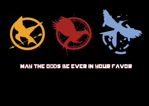 Hunger Games Key Hanger
