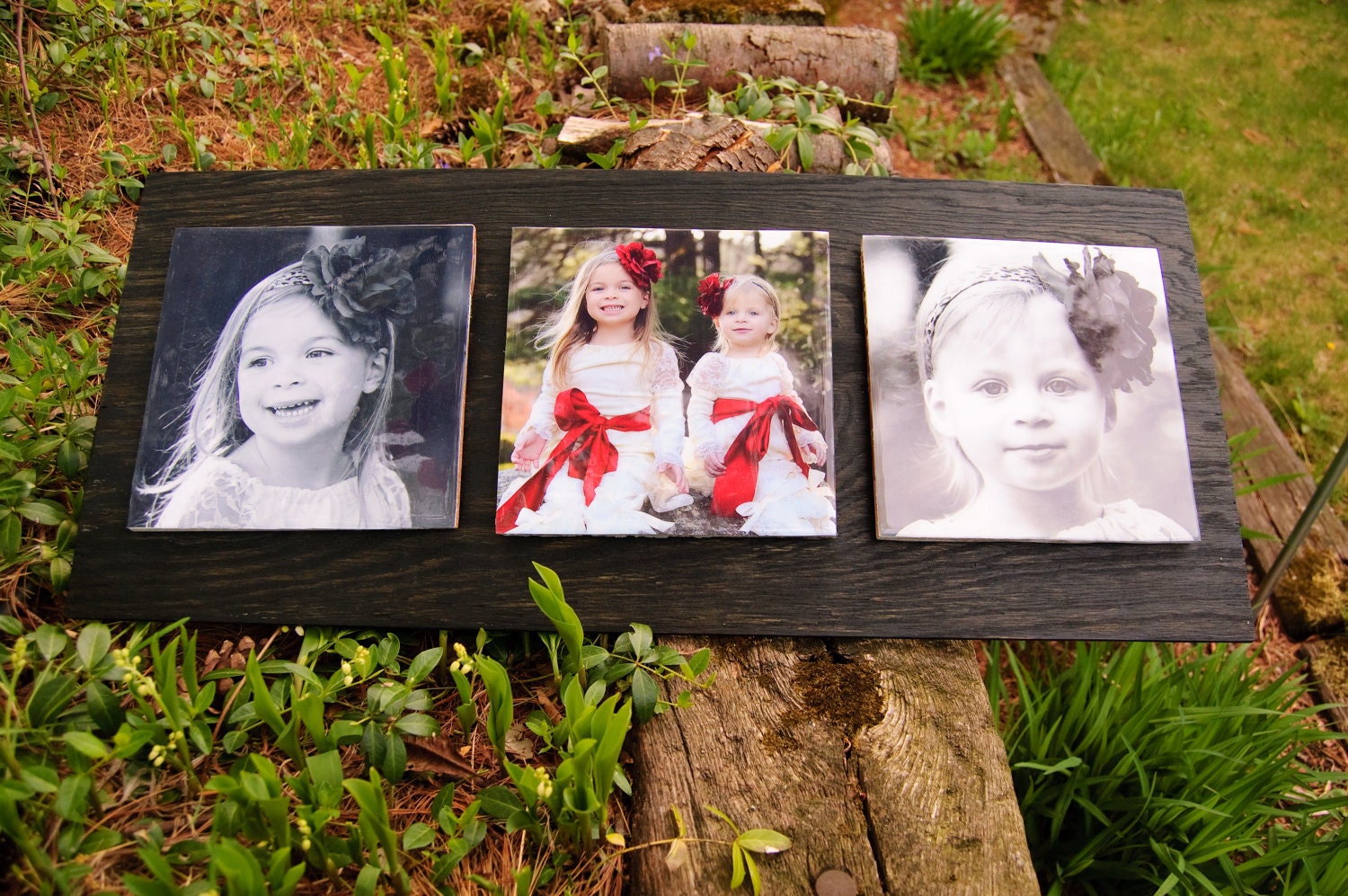 Custom Wood Mounted Triple Ceramic Photo Tile -  8in x 8in Tile on Hand Painted Wood