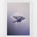 Islands /// London /// limited edition print