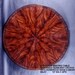 Mahogany Sunburst Table with Rosewood crossband and Ebony inlay