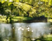 Bokeh Dream Lake -Fine art photography- Archival Paper- 8x12