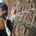 Custom order Real Fairy Wings