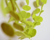 Lime green felt banner garland - 10 feet - Garden party decor - Holiday Decor