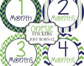 Boys Preppy Navy Green, Monthly Baby Onesie Stickers, Baby Month Stickers...Bonus Just Born Sticker Included