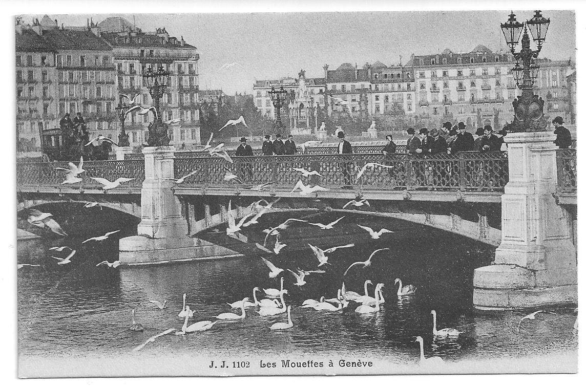 SALE 1910s Vintage Postcard: J. J. 1102 Les Mouettes a Geneve