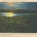 SUNRISE, Looking Across Fourth Lake, Showing Cedar Island and South Shore, Eagle Bay, N.Y. Vintage Postcard, 1952