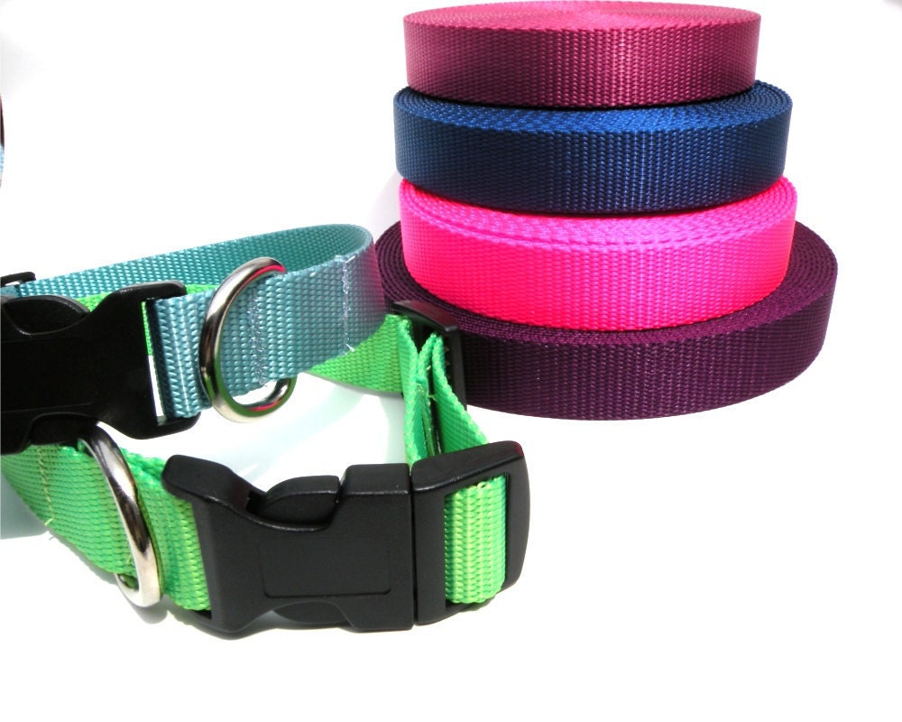 Medium Dog Collar Adjustable in Hot Pink Green Blue Purple