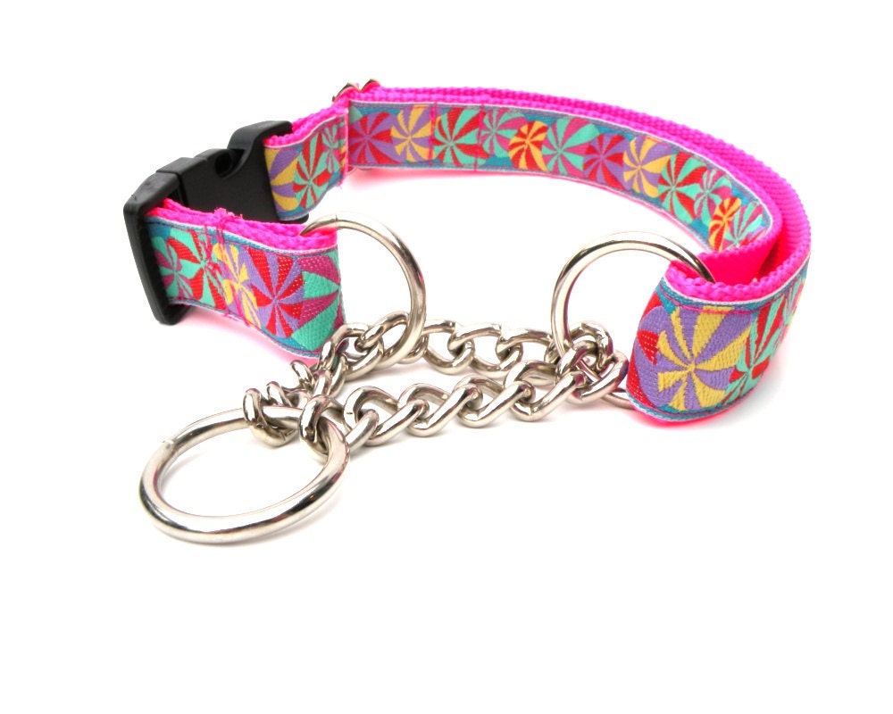 Large Hot Pink Martingale Dog Collar
