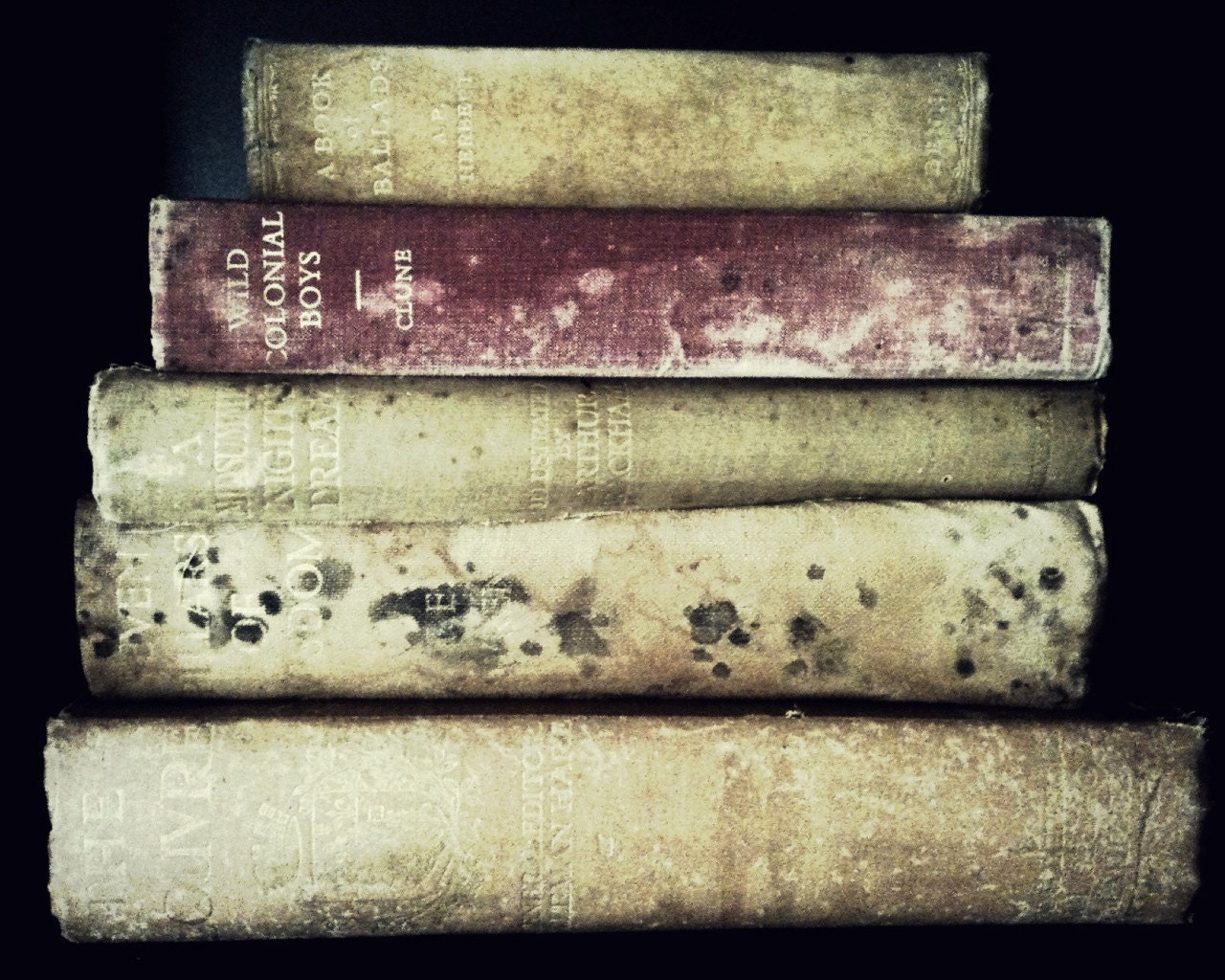 Book love - the older the better, vintage book photography -