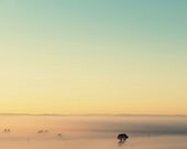 Big sky - pastel country landscape photo, foggy view -