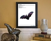 Space Bat: Zoological Universe Series - Scientific Discovery Style 8x10 Giclée Art Print