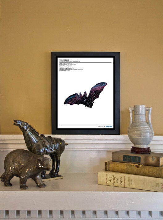 Space Bat: Zoological Universe Series - Scientific Discovery Style 8x10 Giclée Art Print