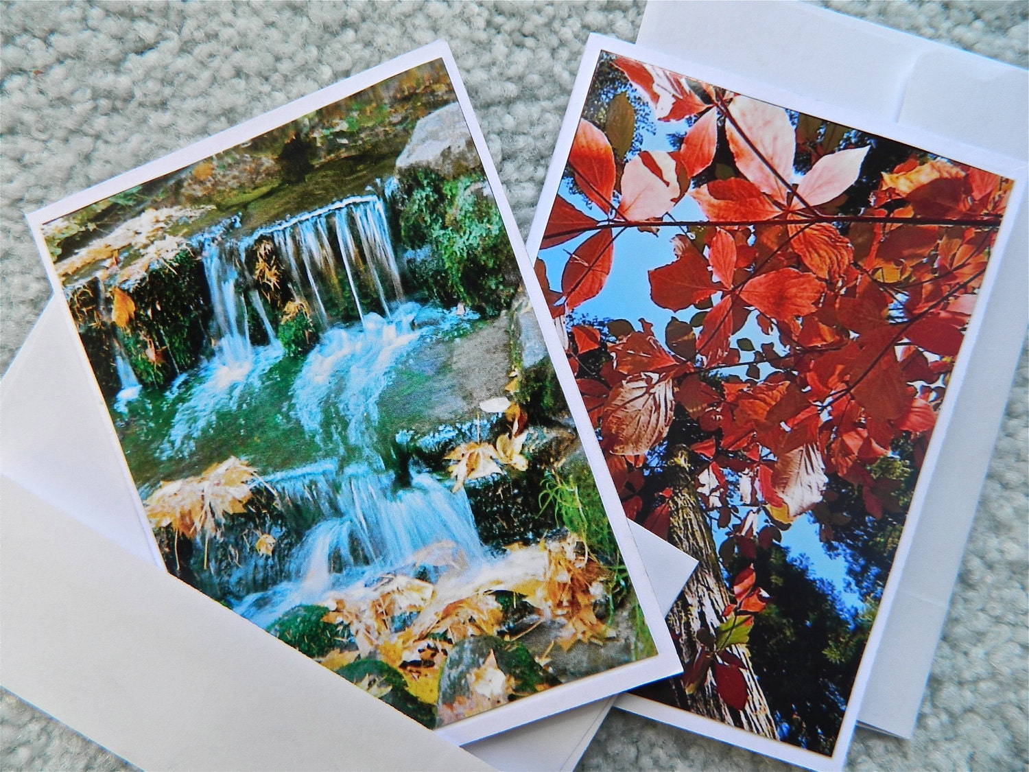 Sierra photo cards - Pair of blank photo cards