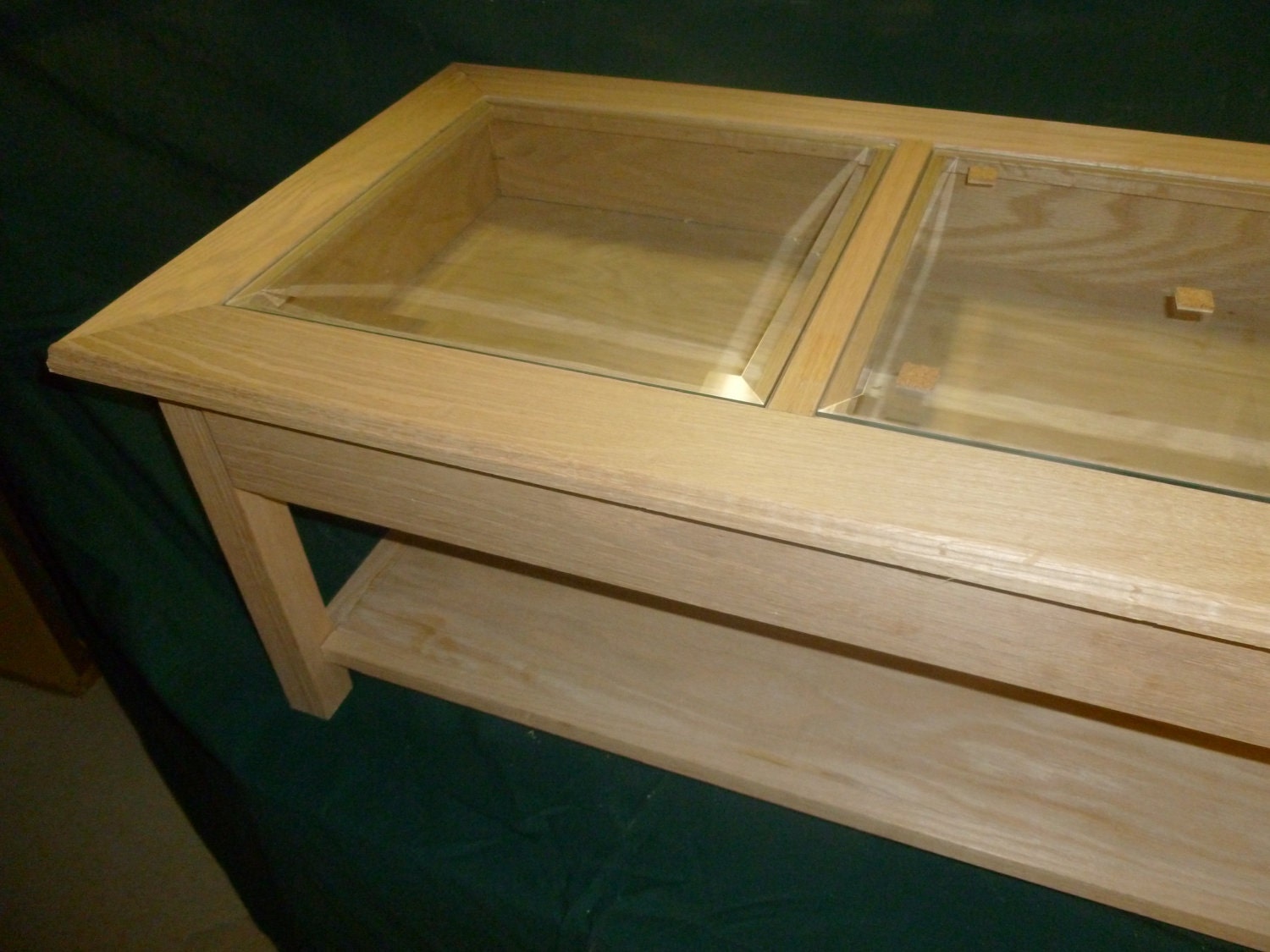 Display Case Coffee Table