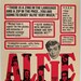 Alfie, US Window Card (14x22in), Original Vintage Movie poster 1966