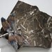 Dragonfly on black marble tile