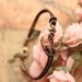 anchor bracelet,retro anchor pendant bracelet,brown leather bracelet---B003