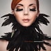 Gothic Feather collar choker black burlesque swan