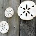 THREE Cut-out Wooden SAND DOLLARS-Silhouette