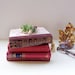 Eco Succulent Book Planter Pink Wine Succulent Centerpiece Book Lover Succulent Lover // Hooray Me