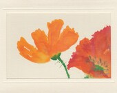 BOLD POPPIES - Blank Inside / White Envelope