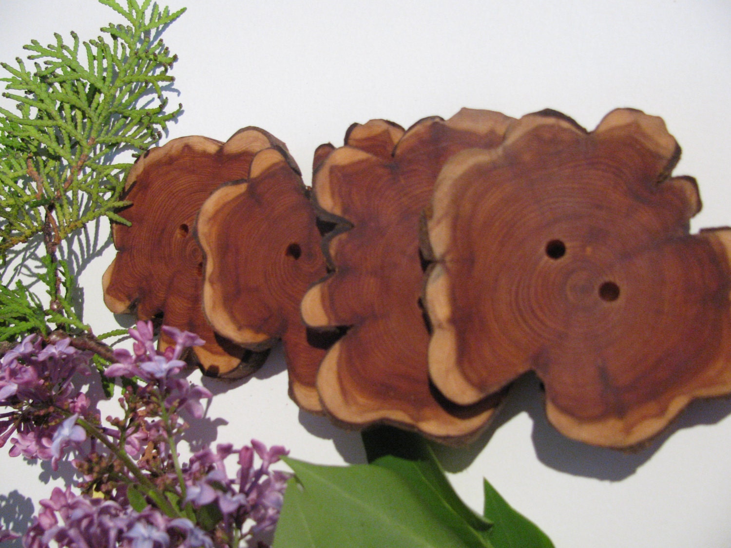 Reserved for Amba Four large buttons made of juniper wood.