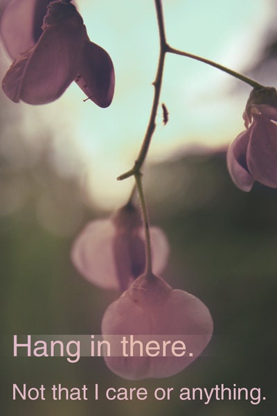 Inspirational Motivational Print - Hang in there. Not that I care or anything.