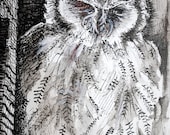 Grouchy Owl - original drawing, pen and ink