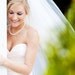 Cathedral Ivory Shimmer Veil with Blusher - custom listing for Lauren