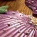 Mermaid shell bra top- DELUXE
