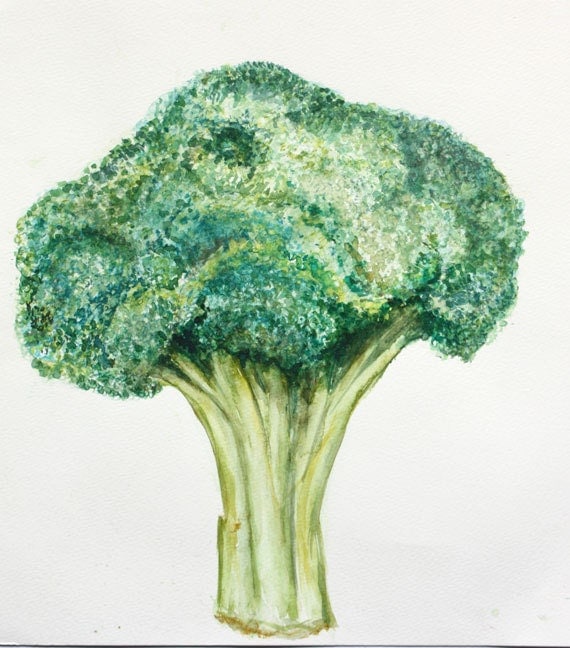 Items similar to Broccoli Original watercolor painting on Etsy