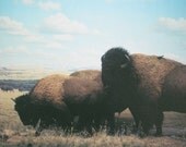 Freedom - 7 x 5 Fine Art Photography Print from 35mm film