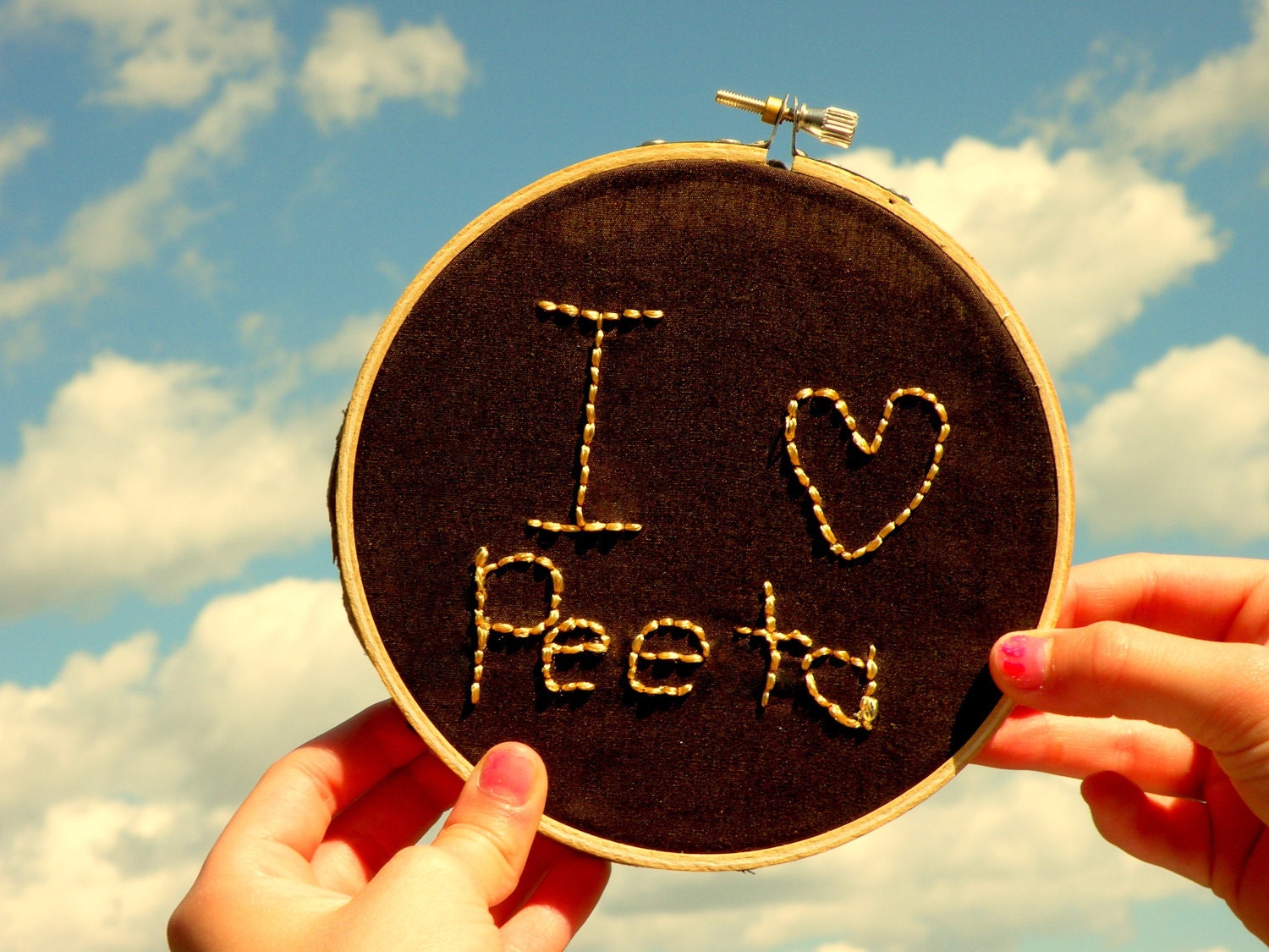 Hunger Games Hand Embroidered Embroidery Hoop Art Wall Hanging I Love Peeta