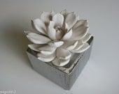 Large White Rosette Succulent Sculpture in Etched Silver Container of Sparkling White Sand