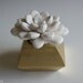 White Modern Succulent Sculpture in Faceted Geometric Polyhedron Gold Container, Desktop Accessory, Tabletop Centerpiece