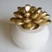 Succulent Sculpture in White Modern Round Container, Tabletop Centerpiece, Springtime Desktop Accessory