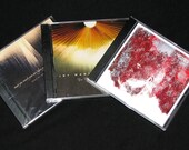 Joy Wants Eternity Discography on  3CDs