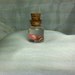 Tiny Mermaid captured in bottles fantasy charm or pendant 112