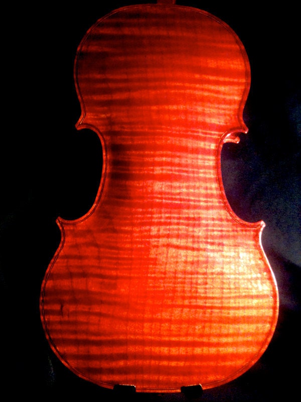 Violin Amati style Professional Instrument