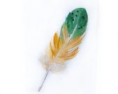 Watercolor painting-Watercolor feather-Art painting feather-Feather in green and yellow