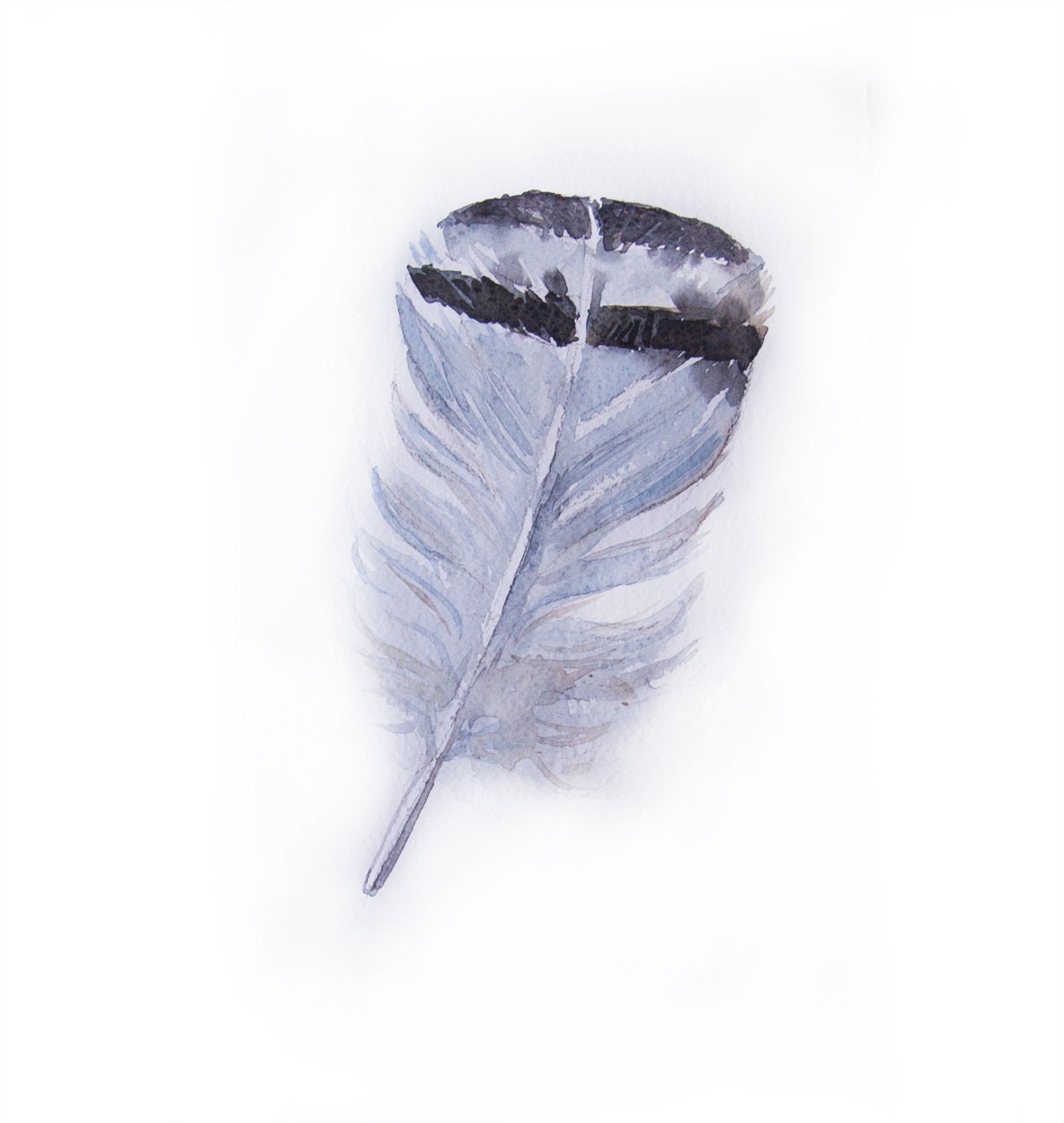 Dove grey feather watercolor painting-Art original-Feather watercolor 7.5/11 inch