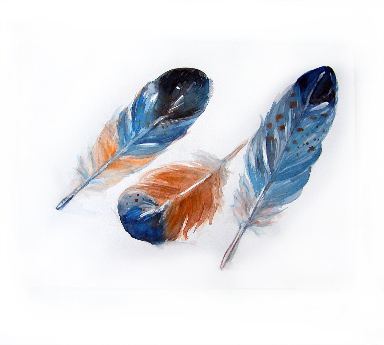 Watercolor painting of feathers.Art original.Feathers by rakla