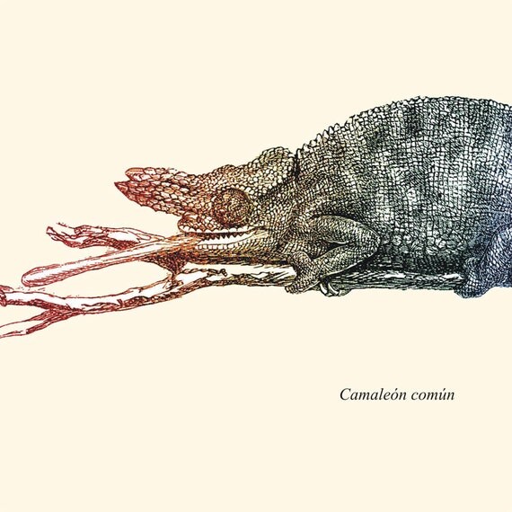 Vintage  Chameleon Poster , Print Art, Digital Illustration Wall Decor,  Print  to Frame, Digital Print Wall Art
