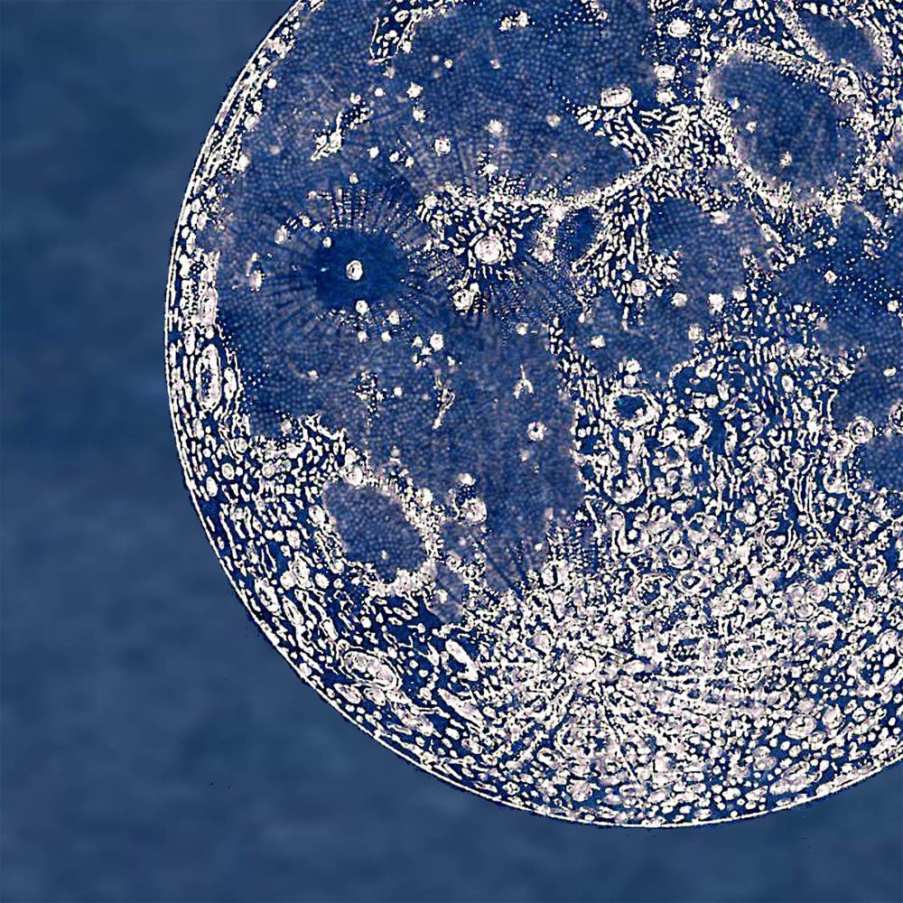 Full Moon Print  Poster Vintage Image  to Frame