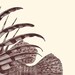 Antique Lionfish Print Pterois 1874 Restored Image Natural History