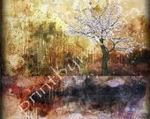 ORIGINAL abstract landscape PRINT 8x8 tree home decor wall art room decor wall decor digital photography Photo wall print artwork painting